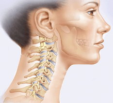 cervical spine illustration